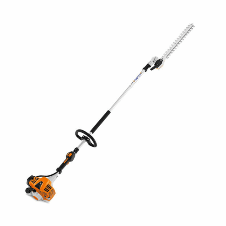 taille haie perche lamier